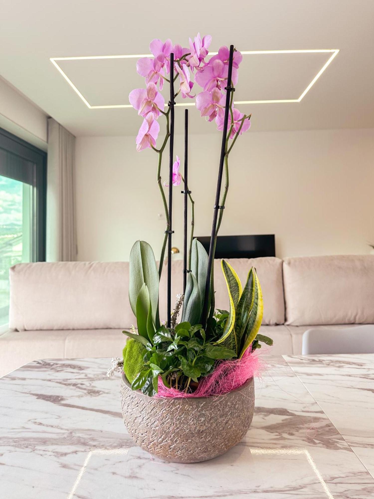 Marco de Canavezes Flora Guest House מראה חיצוני תמונה
